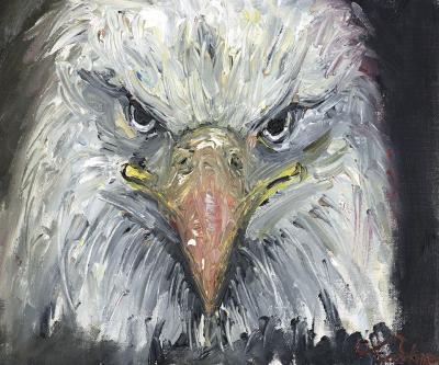 Bald Eagle.jpg